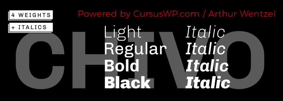 wordpress google font - Chivo sans