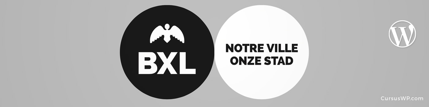 Brussel Bruxelles Brussels Wordpress cursus training webdesign website workshop