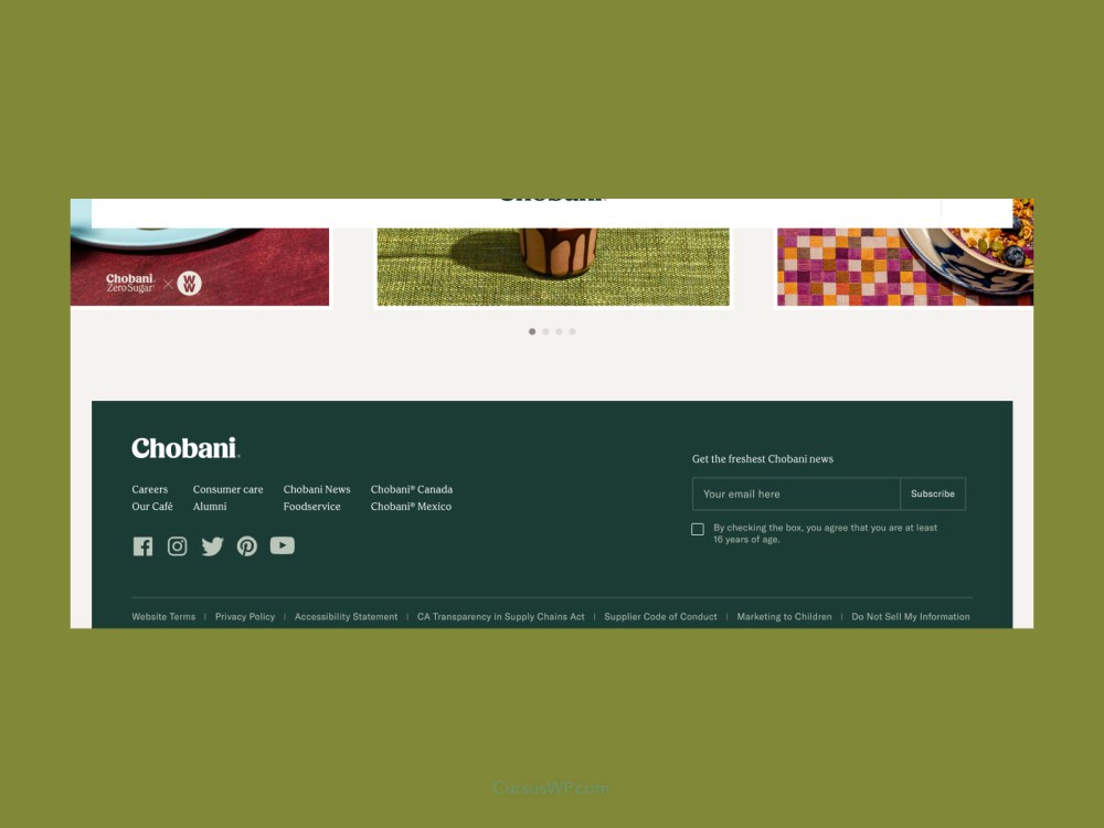 footer ontwerp website voorbeeld (12)