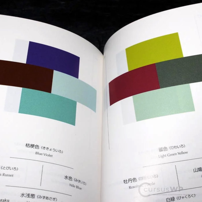 pagina boekje dictionary of color combinations sanzo wada editie voorbeeld