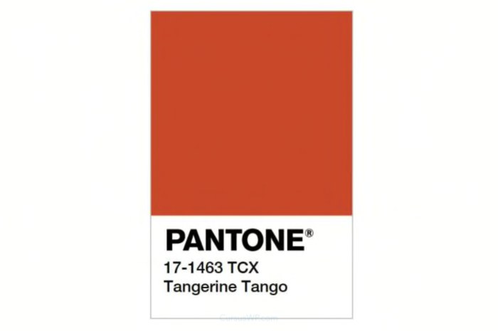 pantone kleur van het jaar 2012
